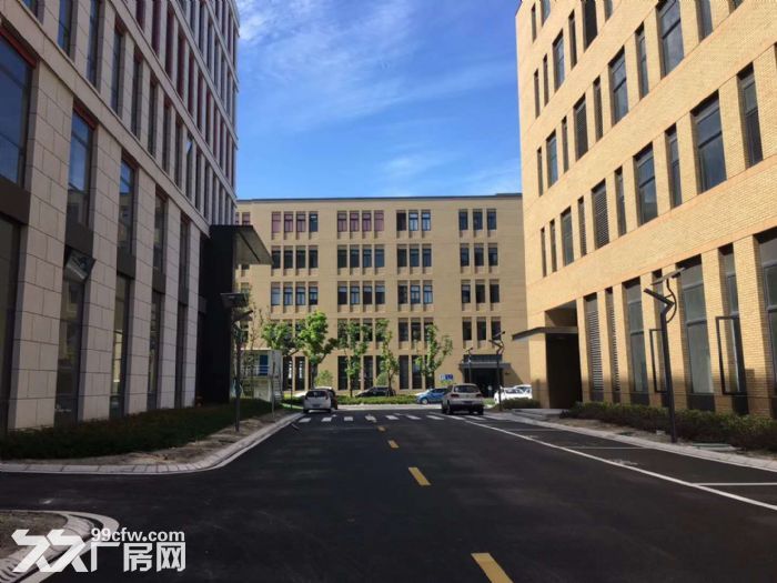 （出租）宝山800平分割厂房丙二类带喷淋104地块形象好-图3