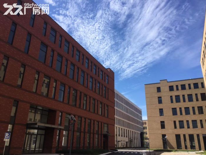 （出租）宝山800平分割厂房丙二类带喷淋104地块形象好-图4