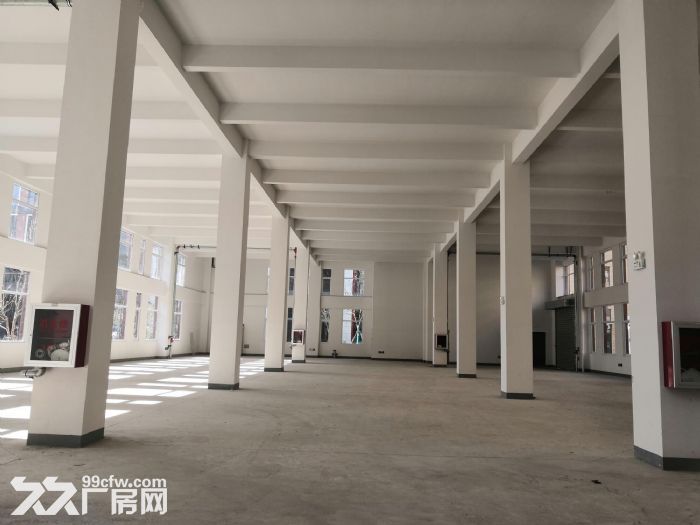 （出租）宝山800平分割厂房丙二类带喷淋104地块形象好-图7