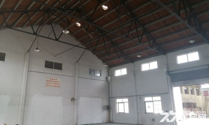 闵行颛桥360平单层 层高9米，大车好进单独大门、交通方便-图3