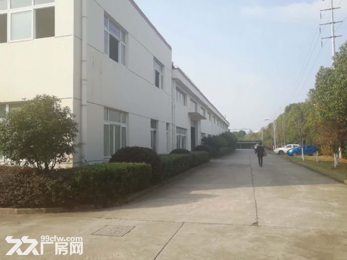 104恒飞路厂房仓库500到6000独门独院形象好-图3