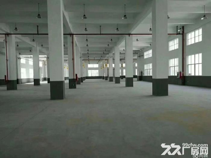 104恒飞路厂房仓库500到6000独门独院形象好-图4