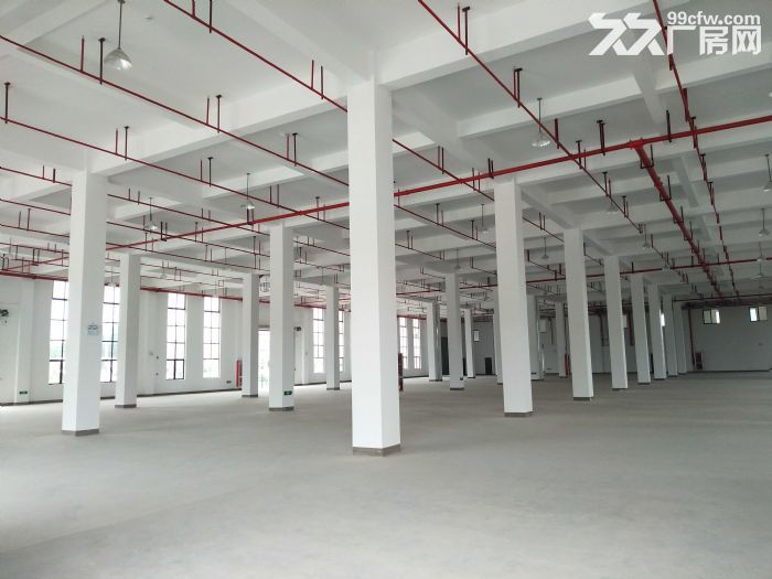 中南高科 长三角 多个园区 独栋厂房出售 800平起售 独栋三层首层8.1米-图1