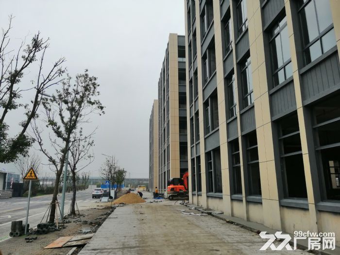 中南高科 长三角 多个园区 独栋厂房出售 800平起售 独栋三层首层8.1米-图4