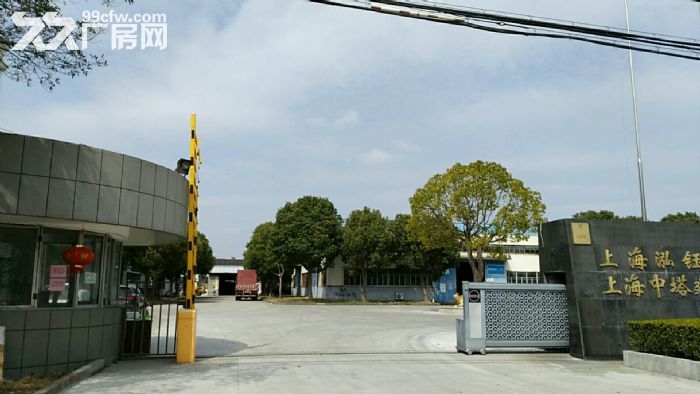 金山枫泾工业园1340平单层厂房104地块，原房东出租无公摊-图2