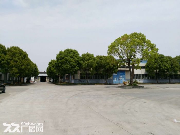 金山枫泾工业园1340平单层厂房104地块，原房东出租无公摊-图4