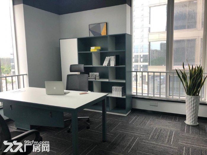 外高桥保税区，超大货梯，淘宝电商培训，电竞，直播间，教育培训-图2