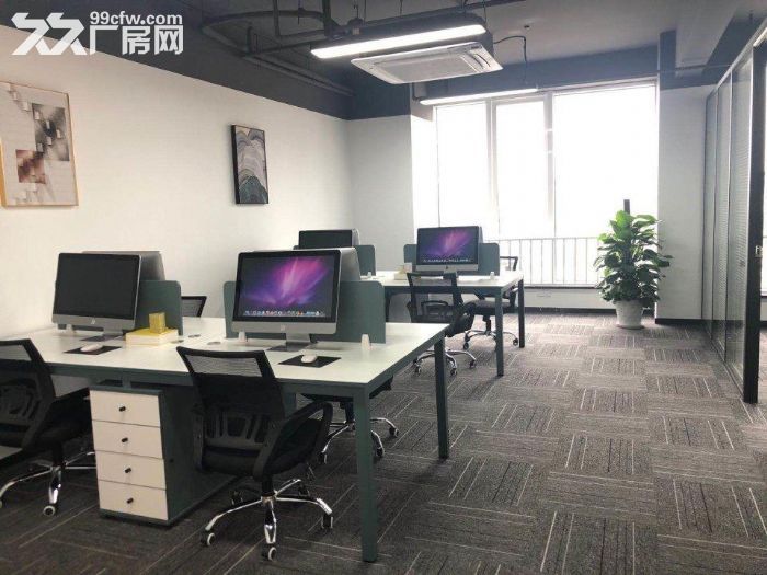 外高桥保税区，超大货梯，淘宝电商培训，电竞，直播间，教育培训-图5