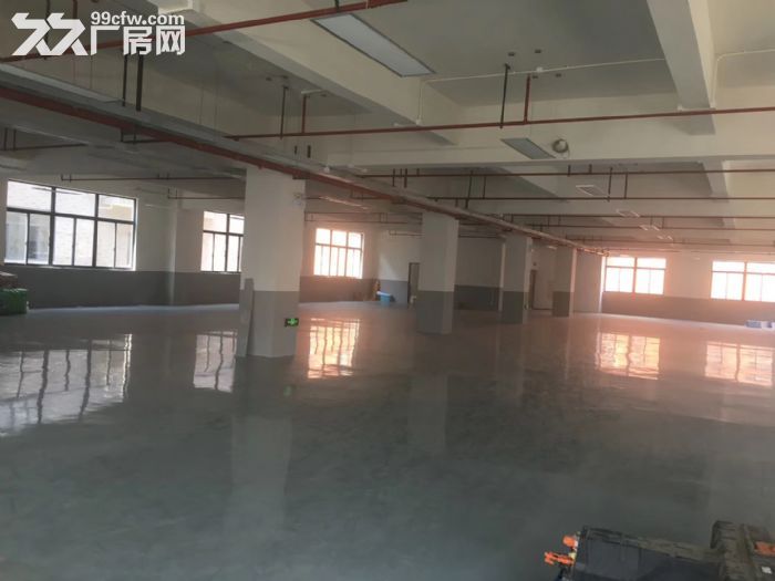 车墩一房东园区独立层面1408平米车间价格0.85元含税，配套餐厅公寓-图1