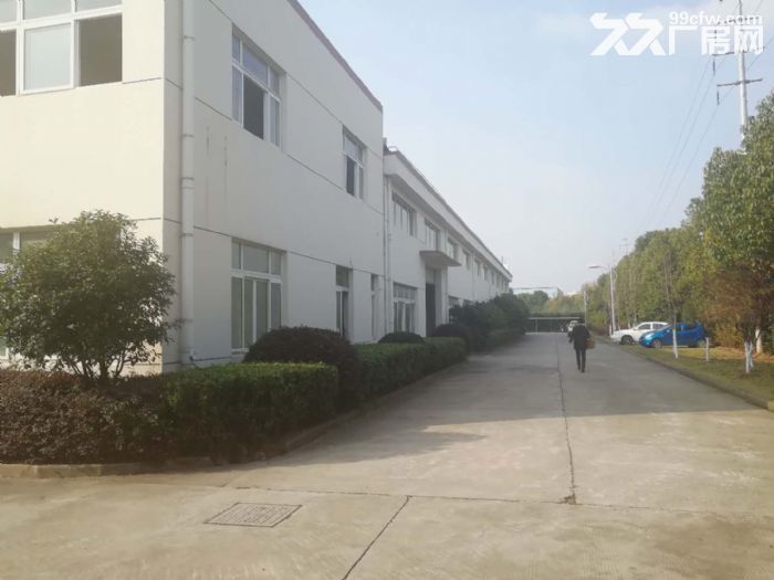 104兴邦路厂房仓库5000二栋独门独院形象好-图1