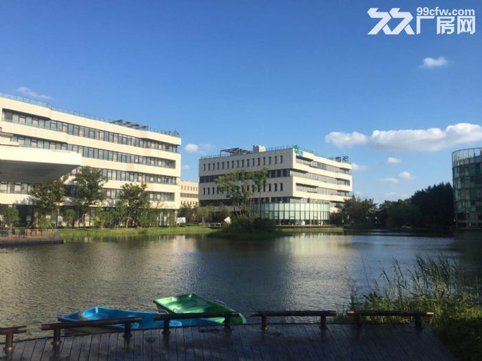 出租浦江面积随意分割100平方起办公仓储先生产加工-图2