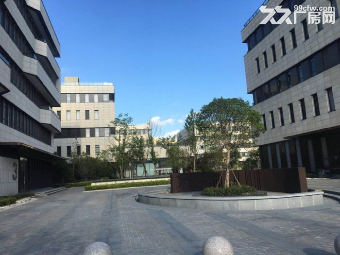 出租浦江面积随意分割100平方起办公仓储先生产加工-图6