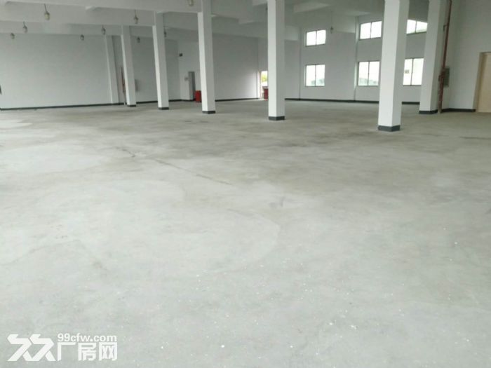 1元出租赵巷独门独院6000m²厂房，大小面积可分割，价格优惠-图2