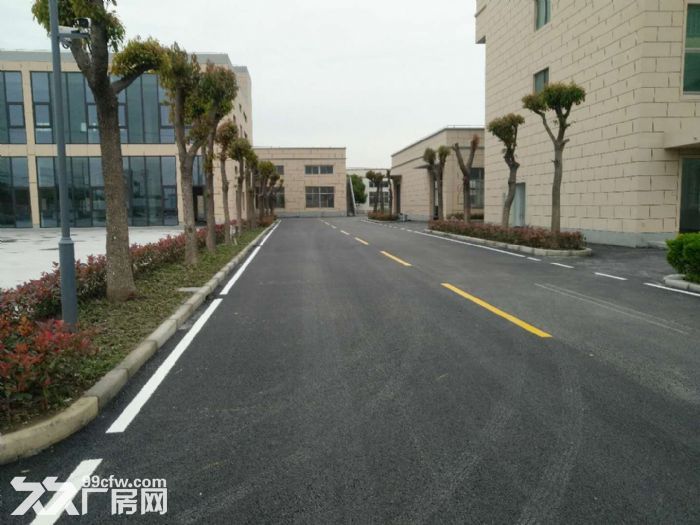 1元出租赵巷独门独院6000m²厂房，大小面积可分割，价格优惠-图6