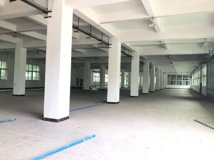 新桥104板块园区小面积出租无税收要求，位置形象佳-图2