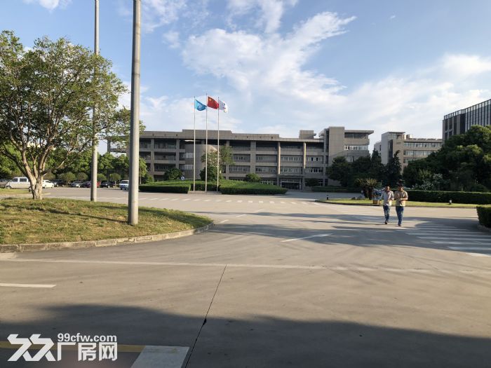 车墩104地块独院全单层10吨行车空地大-图5