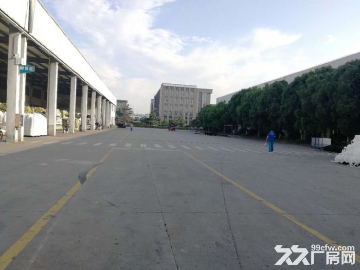 车墩104地块独院全单层10吨行车空地大-图8