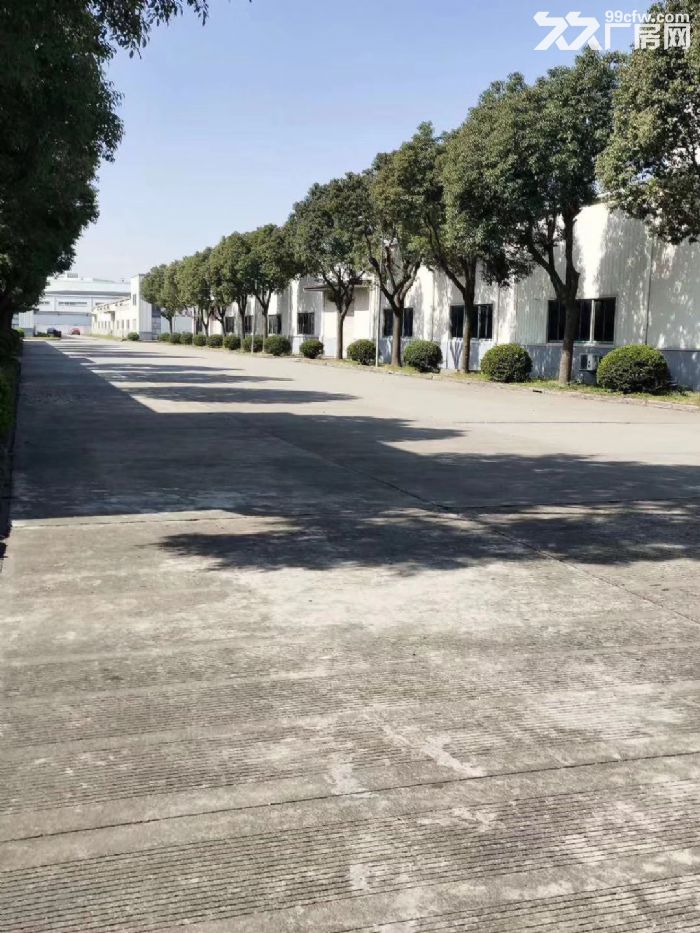 松江荣乐东路独栋单层厂房2600平米出租无公摊位置好-图2