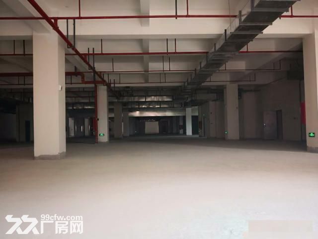 新桥专业食品园区，全新厂房，双路供电，104板块-图1