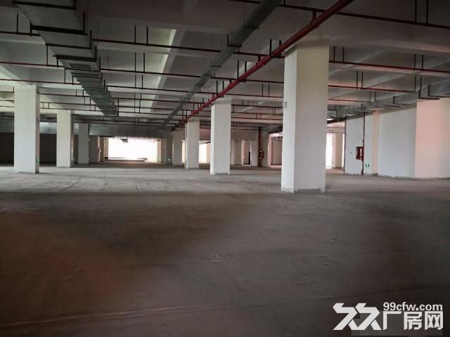 新桥专业食品园区，全新厂房，双路供电，104板块-图3