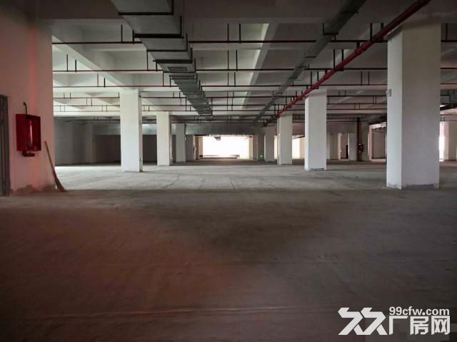 新桥专业食品园区，全新厂房，双路供电，104板块-图2