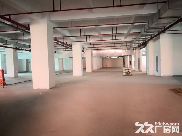 新桥专业食品园区，全新厂房，双路供电，104板块-图4