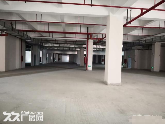新桥专业食品园区，全新厂房，双路供电，104板块-图5
