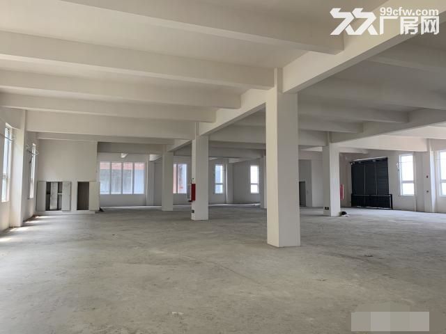 新桥通燃气全新园区独栋环评无忧有返税政策形象好-图1