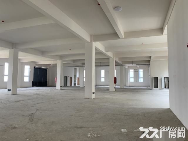 新桥通燃气全新园区独栋环评无忧有返税政策形象好-图2