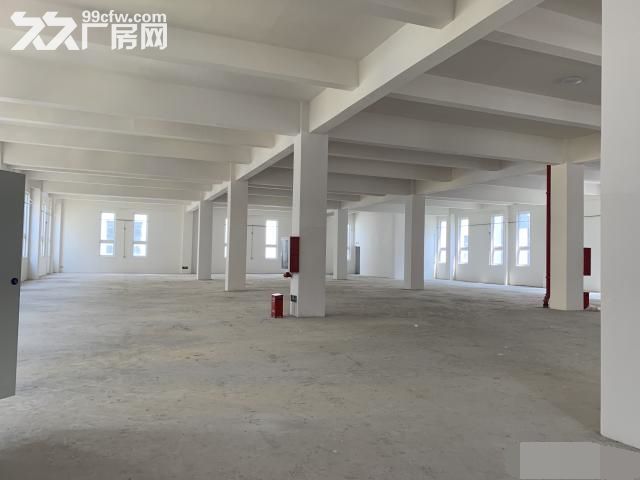 新桥通燃气全新园区独栋环评无忧有返税政策形象好-图7