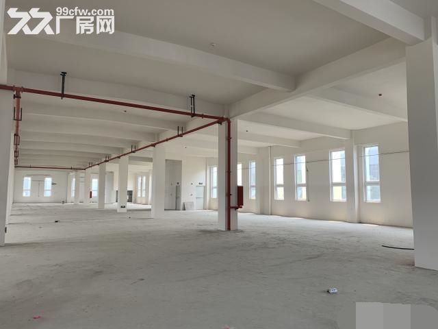 新桥通燃气全新园区独栋环评无忧有返税政策形象好-图6