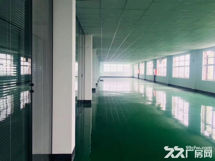 松江新城近万达全新精装修车间130,150,180平米出租-图2