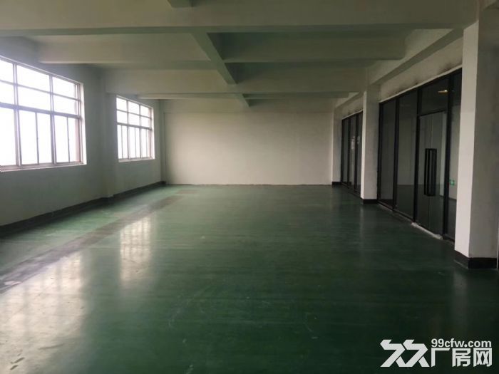 松江新城近万达全新精装修车间130,150,180平米出租-图4
