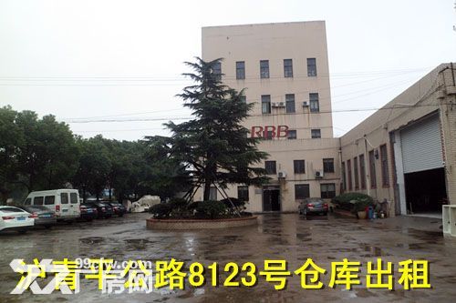 青浦练塘标准厂房仓库出租  非中介-图1