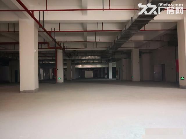 政府支持项目，新建独栋专业级食品园区三证齐全-图1