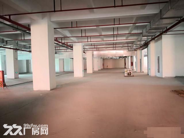 政府支持项目，新建独栋专业级食品园区三证齐全-图2