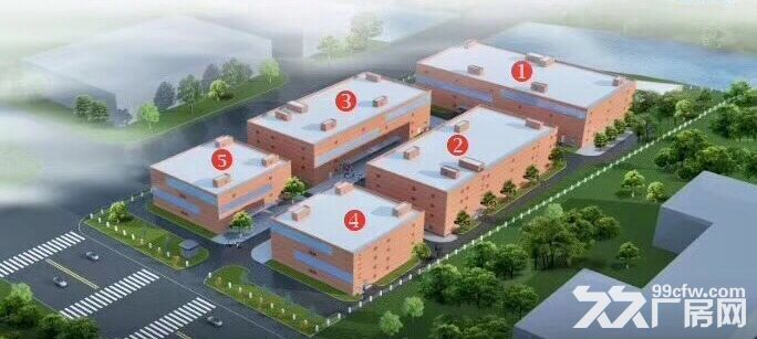 政府支持项目，新建独栋专业级食品园区三证齐全-图4