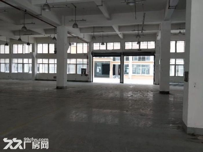 店长推荐 康桥工业区3400平米单层厂房出租/200平米起租-图6
