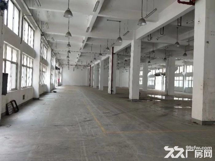 店长推荐 康桥工业区3400平米单层厂房出租/200平米起租-图5