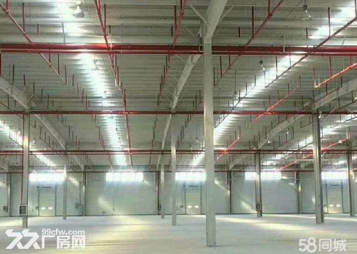 独门独院丙1类仓库证件齐全直租-图2