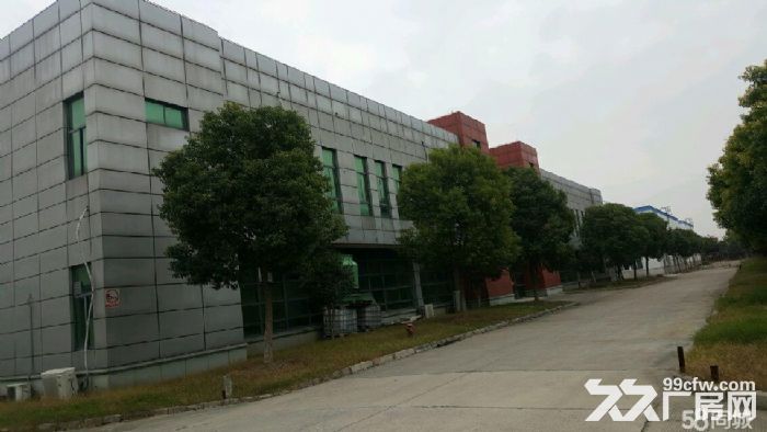金山漕泾化工区全单层丙1类仓库直租-图1