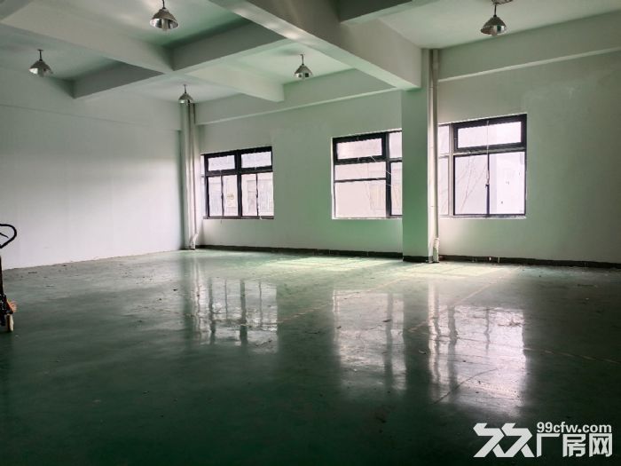 松江104板块丨厂房招租丨剩余面积间详情丨可办理环评-图2