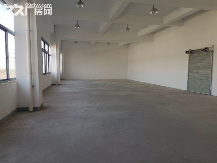 松江104板块丨厂房招租丨剩余面积间详情丨可办理环评-图4