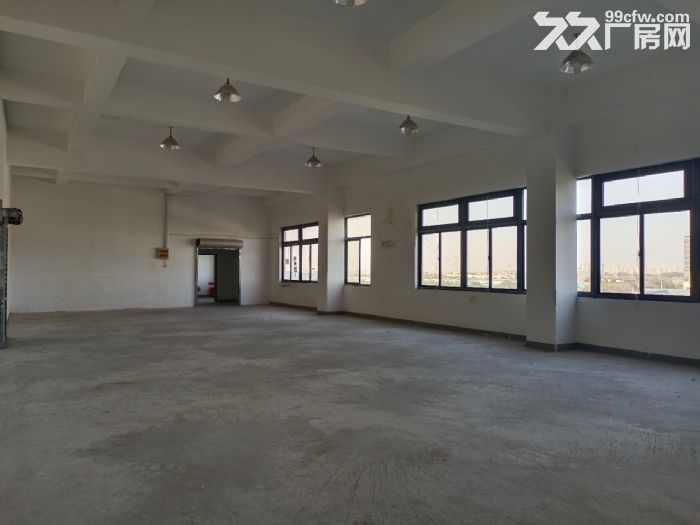 松江104板块丨厂房招租丨剩余面积间详情丨可办理环评-图5