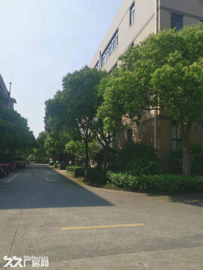 一房东，大虹桥北九亭工业区，独立层面1800平方左右，151平方起租，104地块-图1