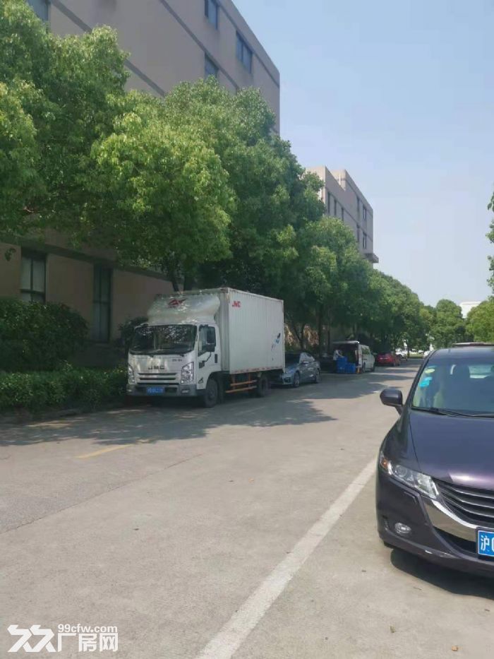 一房东，大虹桥北九亭工业区，独立层面1800平方左右，151平方起租，104地块-图4