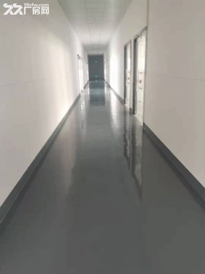 一房东，大虹桥北九亭工业区，独立层面1800平方左右，151平方起租，104地块-图8