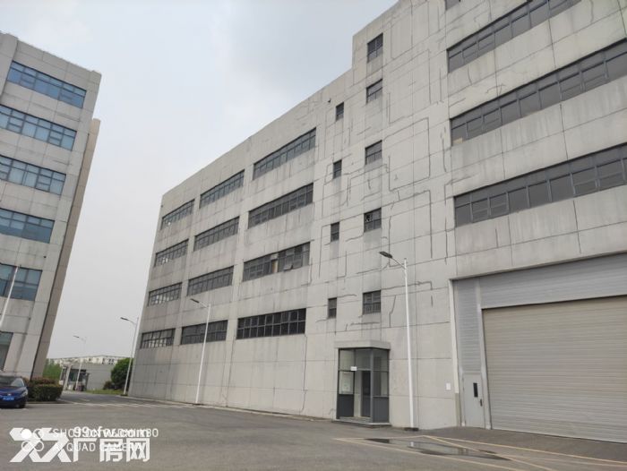 车墩比亚迪园区附近43000平方高端厂房仓库出租，大小自由分割，104地块-图1