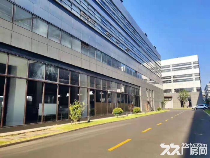 泗泾泗砖南路旁花园式厂房仓库出租，1000平方起租，适合高端生产和仓储行业-图2