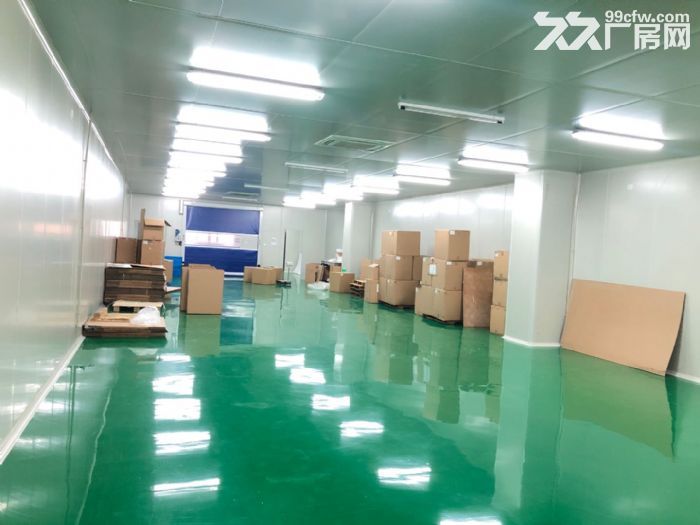 车墩104板块无公摊独立层面精装修车间1580平米价格含税-图1